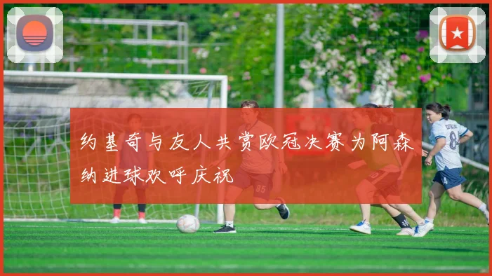 约基奇与友人共赏欧冠决赛为阿森纳进球欢呼庆祝
